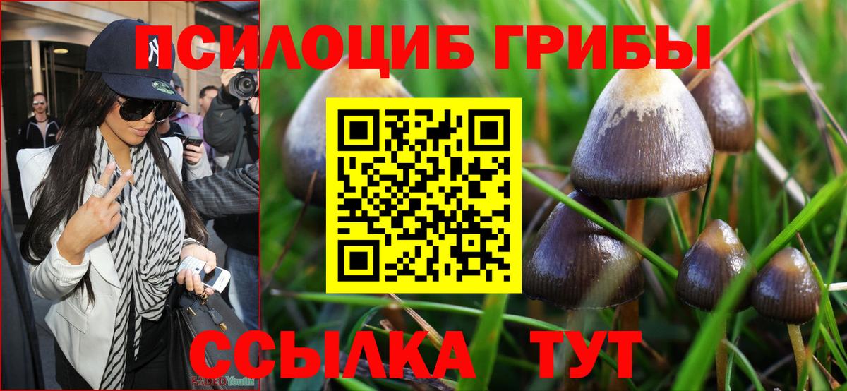 Галлюциногенные грибы прущие грибы  Галлюциногенные грибы MAGIC MUSHROOMS  Вход с VPN  Джанкой 