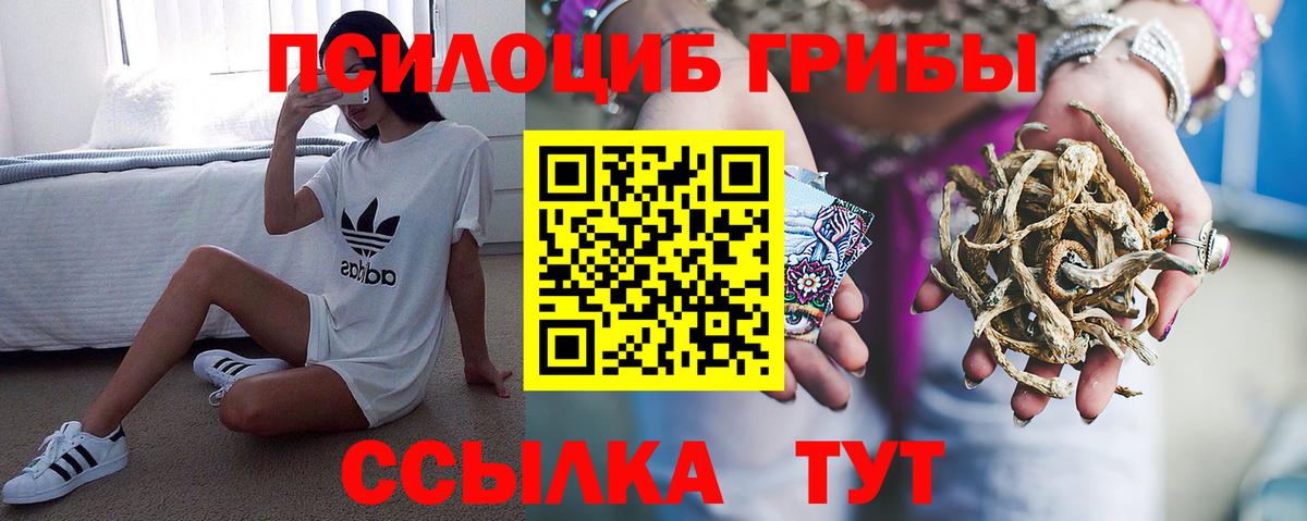 Псилоцибиновые грибы прущие грибы Джанкой